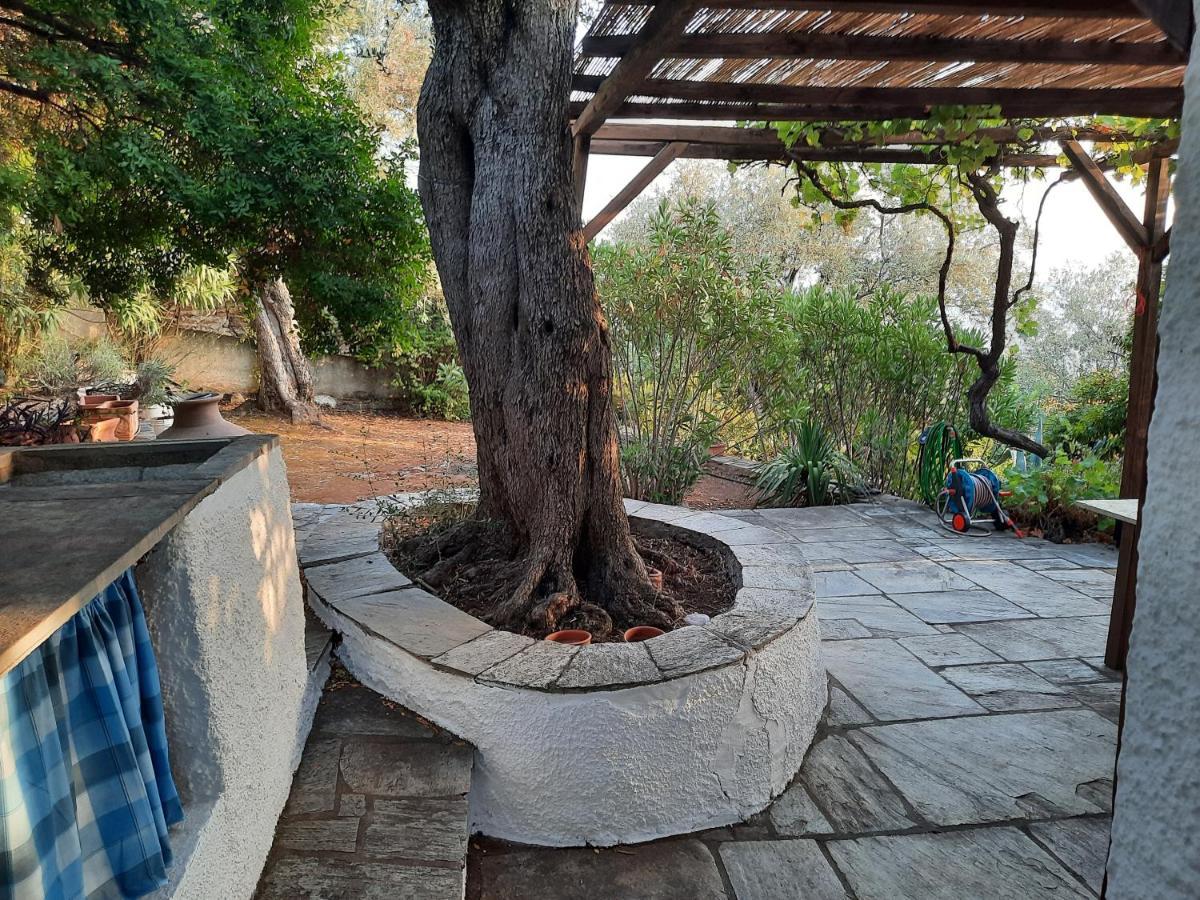 Villa Imelda Áfissos Dış mekan fotoğraf