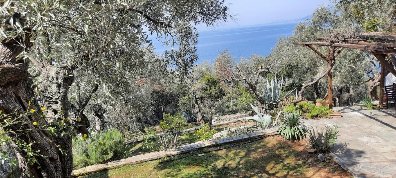 Villa Imelda Áfissos Dış mekan fotoğraf