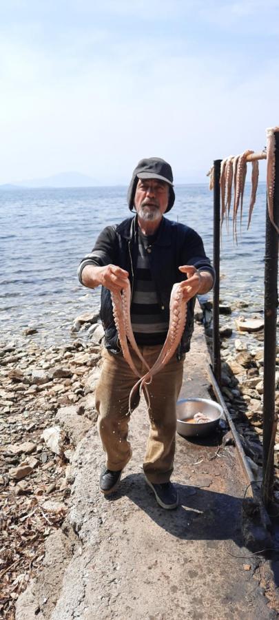 Villa Imelda Áfissos Dış mekan fotoğraf