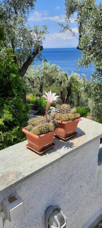 Villa Imelda Áfissos Dış mekan fotoğraf